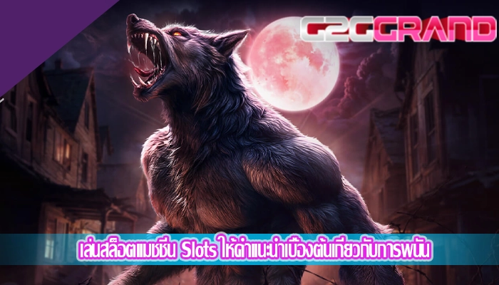 เล่นสล็อตแมชชีน Slots ให้คำแนะนำเบื้องต้นเกี่ยวกับการพนัน